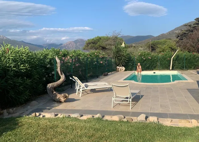 Avec Piscine A 50 M De La * Propriano (Corsica)